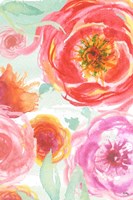 Colorful Roses I Fine Art Print