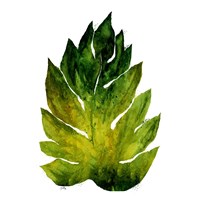 Green Leaves Square I Framed Print