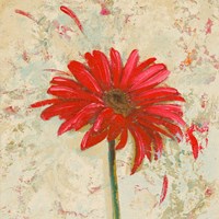 Tiny Flower Square I Framed Print