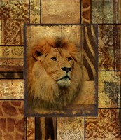 Decorative Safari II (Lion) Fine Art Print