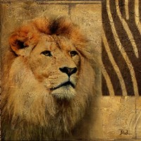 Elegant Safari II (Lion) Fine Art Print