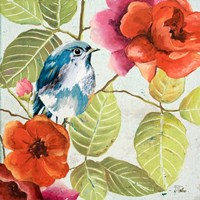 Beautiful Bird I Fine Art Print