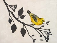 Yellow Bird On the Branch I Framed Print