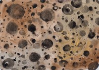 Rustic Dots Fine Art Print