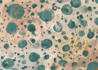 Rustic Turquoise Dots Fine Art Print