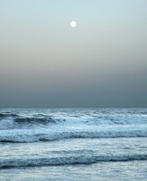 Daytona Gray II Fine Art Print