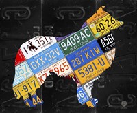 Collie Fine Art Print