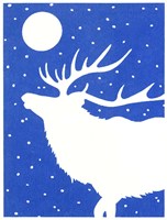 White Elk Fine Art Print