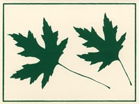 Green Leaves Fine Art Print