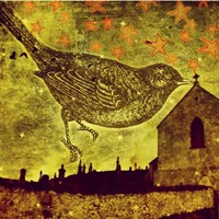 Bird Fine Art Print