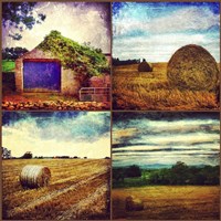 Autumn Farm Fine Art Print