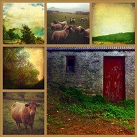Livestock Fine Art Print