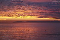 Catalina Sunset Fine Art Print