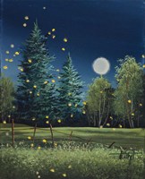 Summer Night Fine Art Print