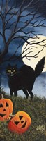 Black Cat Fine Art Print