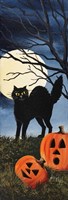 Black Cat 2 Fine Art Print