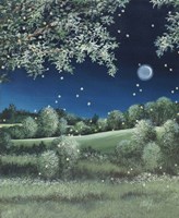 Fireflies Meadow Fine Art Print