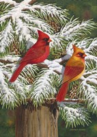 Hangin' Out in The Pines Fine Art Print