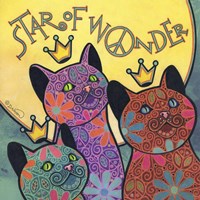 Cat 5 Fine Art Print