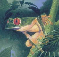 Tree Frog Fine Art Print