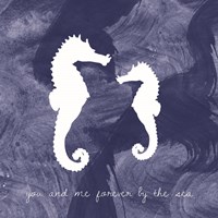 Seahorse Fine Art Print