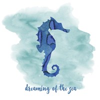 Seahorse Framed Print