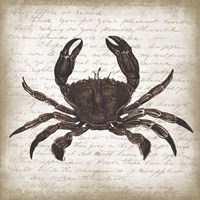 Crab I Framed Print