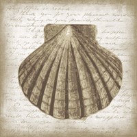 Shell I Fine Art Print