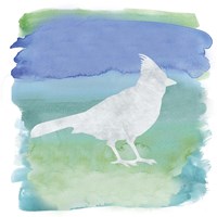 Watercolor Bird 3 Fine Art Print
