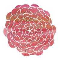 Watercolor Flower 2 Framed Print