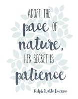 Nature Fine Art Print