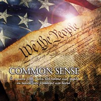 Common Sense Fine Art Print