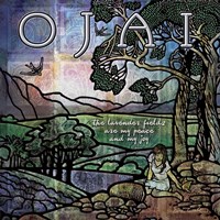 Lavender Fields Of Ojai Fine Art Print