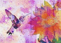 Hummingbird XVII Fine Art Print