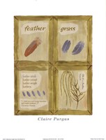 Feather Grass by Claire Pavlik Purgus - 12" x 16"