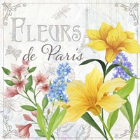 Fleurs II Framed Print