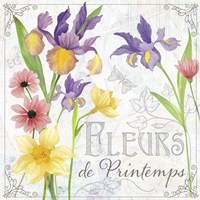 Fleurs III Framed Print