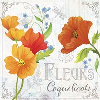 Fleurs IV Fine Art Print