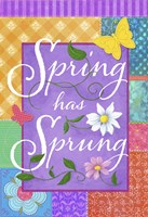 Spring Flag Fine Art Print
