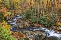 Tremont Stream Fine Art Print
