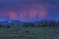 YNP Sunset Fine Art Print