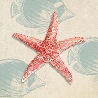 Ocean Gift I Fine Art Print