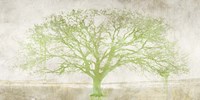 Green Tree Fine Art Print