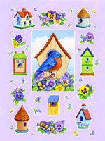 Bluebird And Pansies Fine Art Print