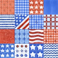 USA Quilt Fine Art Print