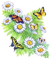 Daisies and Butterflies Fine Art Print