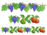 Grapes and Fruit borders Fine Art Print