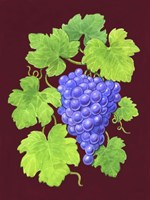 Grapes Burgundy Fine Art Print