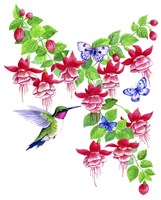 Hummingbird Hibiscus Fine Art Print