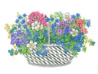 Phlox Basket Fine Art Print